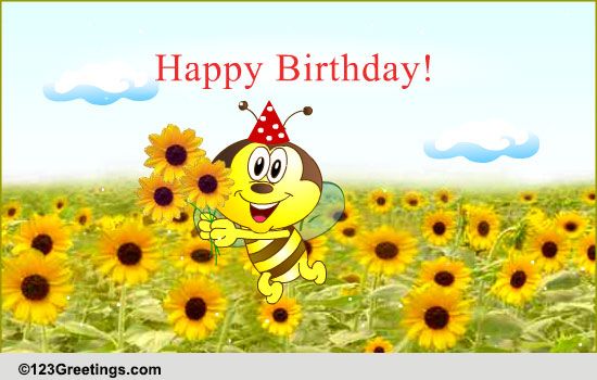 A Playful Birthday Greeting.