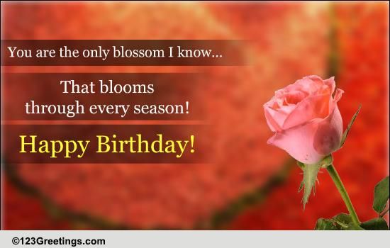 Birthday Blossom! Free Flowers eCards, Greeting Cards | 123 Greetings