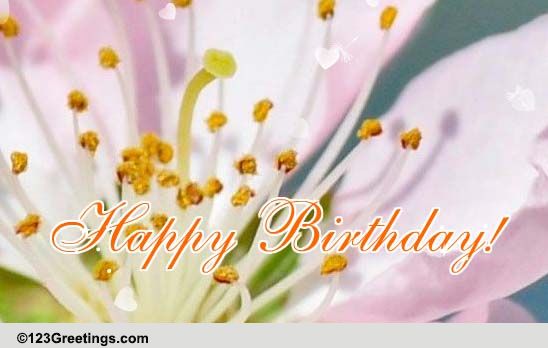 A Birthday ecard Filled With Flowers.