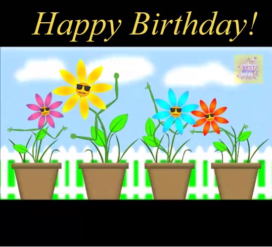 Happy Birthday Song - with beautiful flowers pictures Happy Birthday To  You ! 