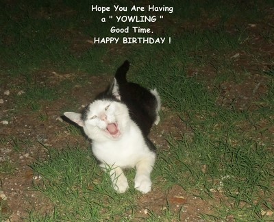 Happy Birthday Yowling Cat.