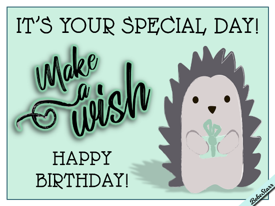 Special All Day.