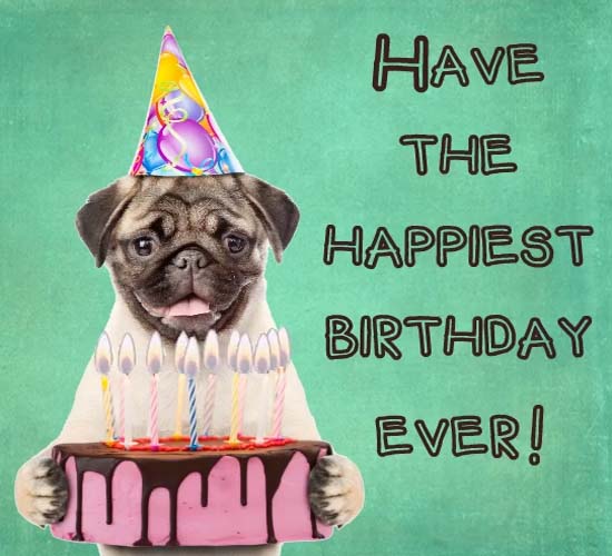 Have The Happiest Birthday Ever! Free Funny Birthday Wishes eCards ...