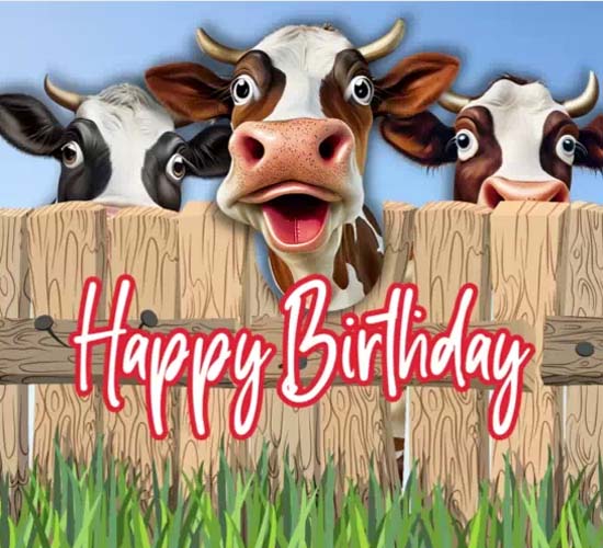 You're How Old? Funny Cow Card. Free Funny Birthday Wishes eCards