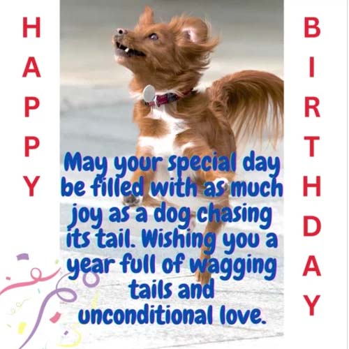 Tail-Wagging Fun Birthday! Free Funny Birthday Wishes eCards | 123 ...