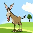 A Birthday Donkey Card Song Video.