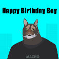 Happy Birthday Boy Cat