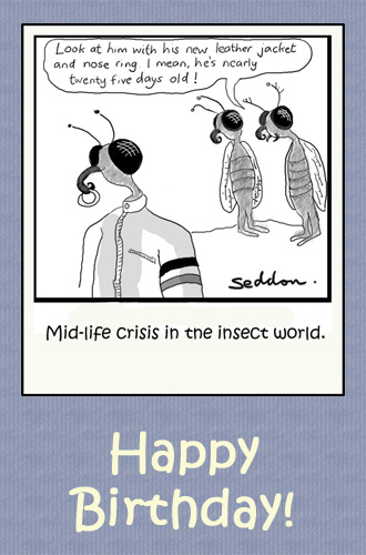 Midlife Crisis In The Insect World.