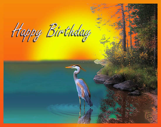 Birthday Heron On The Lake.