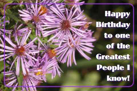 birthday purple happy flowers greetings 123greetings happybirthday card