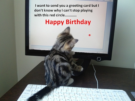 Birthday Greeting From Kitty.