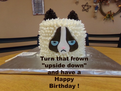 Happy Birthday Cat Cake.