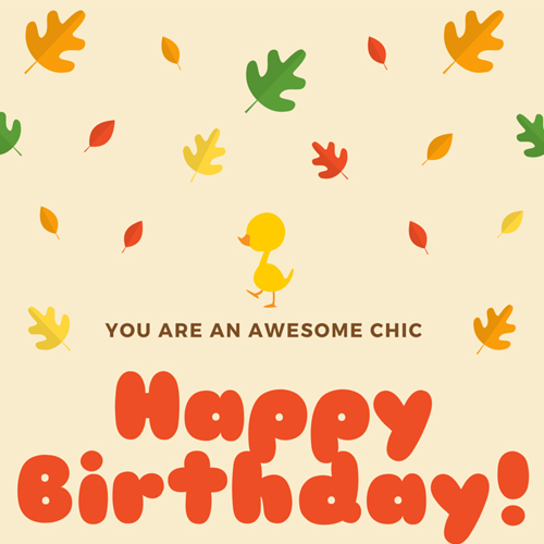 You Are An Awesome Chic.