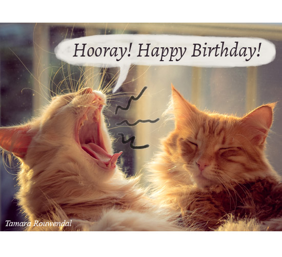Hooray! Your Birthday Is On The Way!