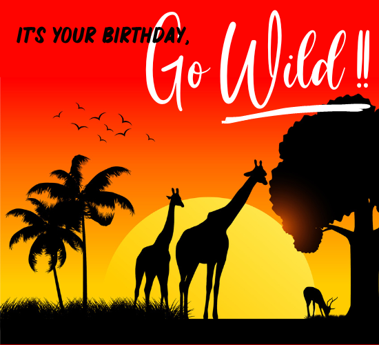 It’s Your Birthday, Go Wild!!