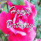 A Rosy Birthday Greeting.
