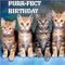 Have A Purr-fect Birthday!