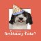 A Cute Dog Is Wearing A Birthday Hat.