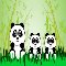 Happy Birthday Panda Bear Birthday...