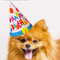 Singing Dog For Your Birthday!