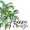 Palm Trees Birthday Card.