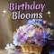 Send Birthday Blooms To Your Loved One.