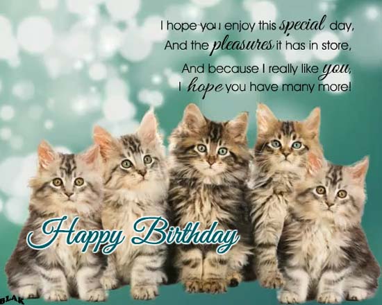 Kitties’ Birthday Song. Free Happy Birthday eCards, Greeting Cards ...