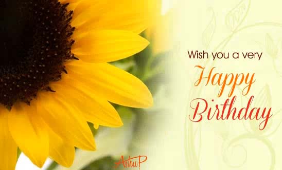 Sunny Birthday Flowers & Greetings. Free Happy Birthday eCards | 123 ...