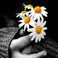 May Your Birthday Blossom.