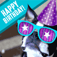 Birthday Puppy Wearing Sunglasses.