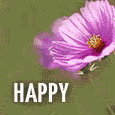Special Happy Birthday Wish For You.