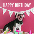 Birthday Wishes From Cute Dog.