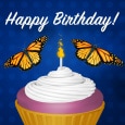 Butterflies On Your Birthday!