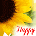Sunny Birthday Flowers & Greetings.