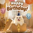 Send The Purrfect Birthday Surprise!