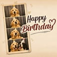 A Fun Happy Birthday Greeting For Them