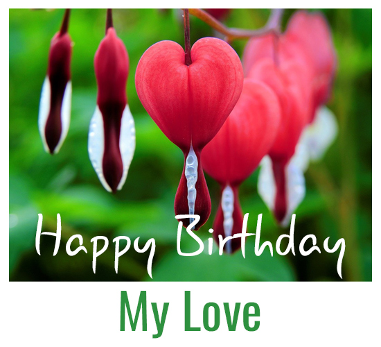 Love Fresh Birthday Wish...