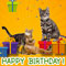 Happy Birthday With Cats...