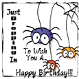 Happy Birthday Spider.
