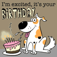 Excited Dog Birthday.