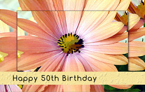 50th Birthday Gerbera Daisy Flower.