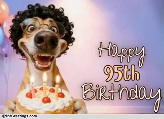 A Humorous 95th Birthday Card