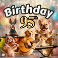 Musical 95th Birthday Card