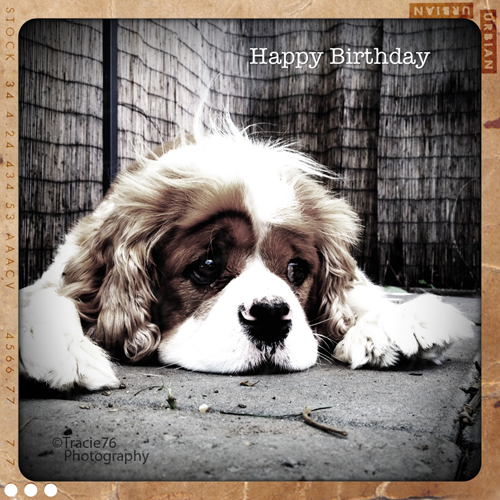 Happy Birthday, I Miss You. Free Miss You eCards, Greeting Cards | 123