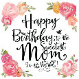 Happy Birthday To The Sweetest Mom.
