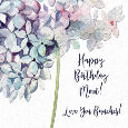 Happy Birthday To Mom, Hydrangea.