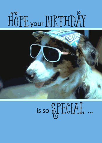 Funny Birthday Dog In Sunglasses.