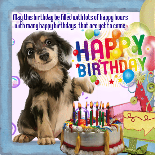 A Birthday Card For Your Pet.