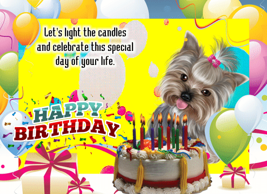 My Cute Birthday Card For Your Pet.