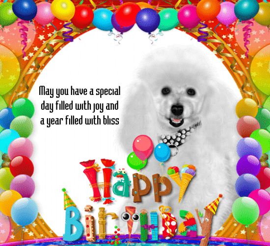 A Cute Birthday Card For Your Pet. Free Pets eCards, Greeting Cards ...